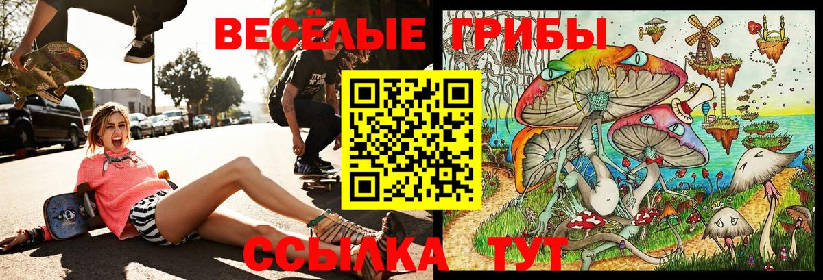 Псилоцибиновые грибы MAGIC MUSHROOMS Мирный